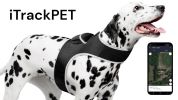 Pet Tracker Waterproof Mini Tracking System Realtime GPS Locator for Dogs - Size Large